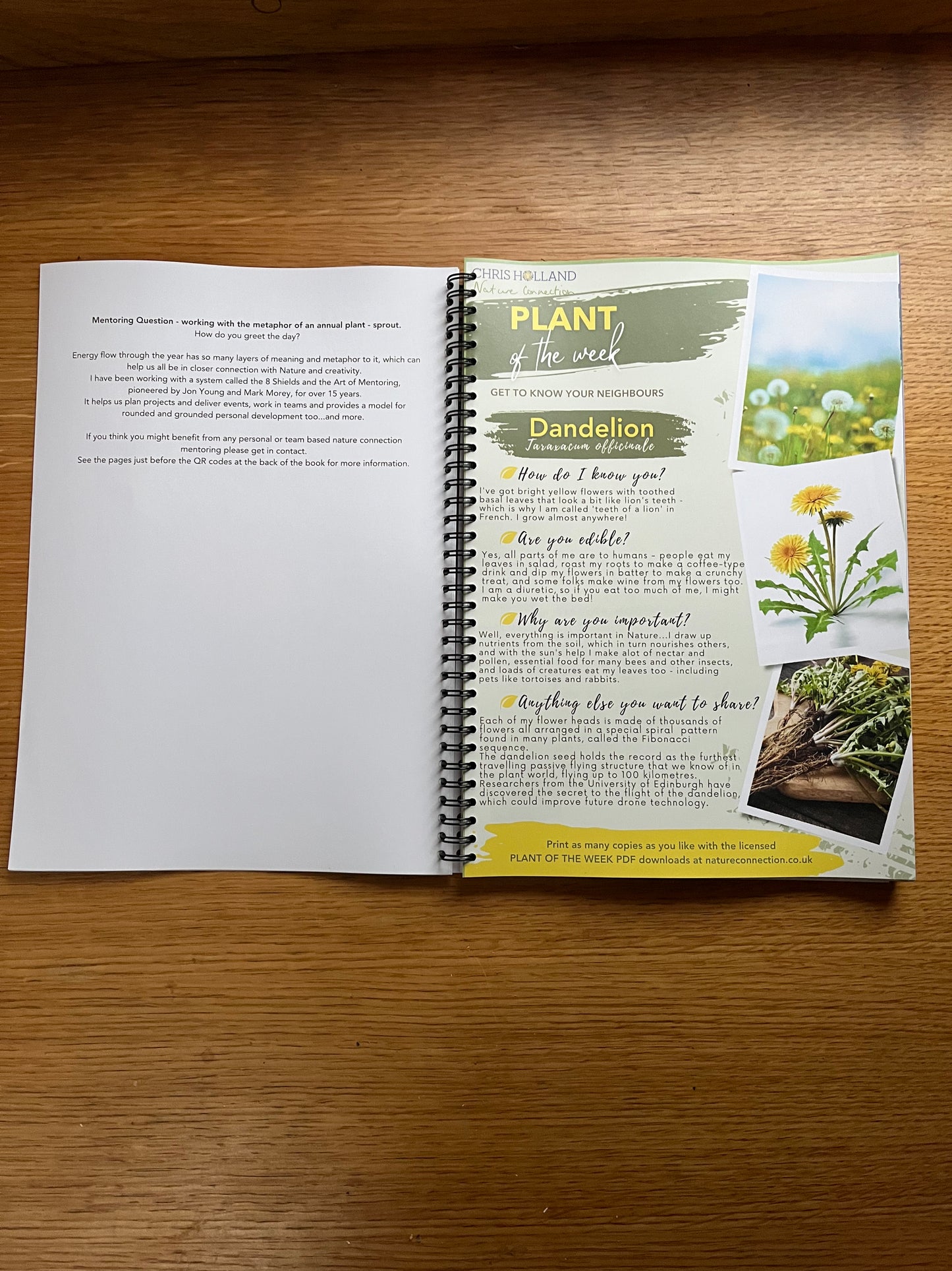 The PLANT OF THE WEEK collection - A4 wire-bound book