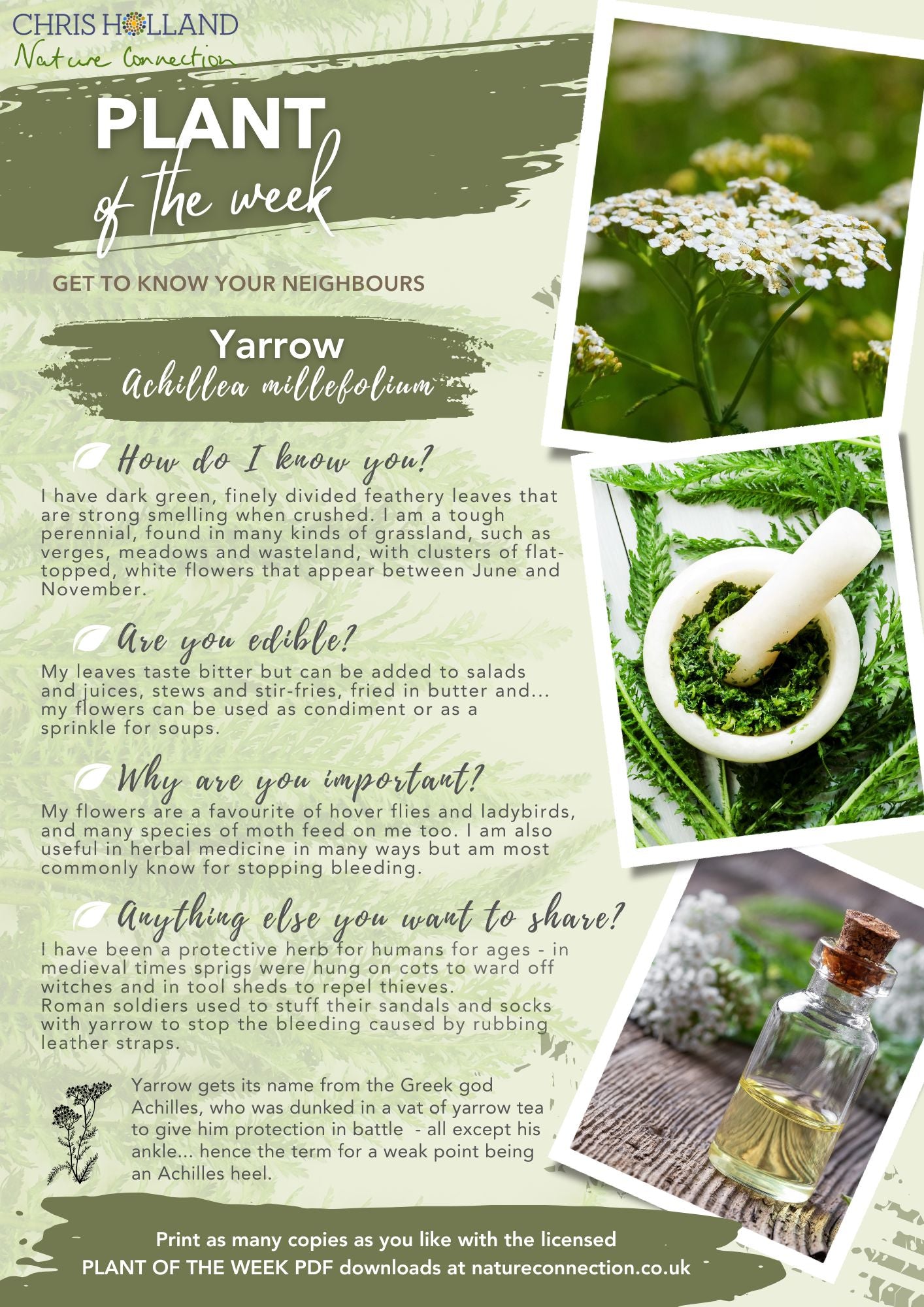 The PLANT OF THE WEEK collection - A4 wire-bound book