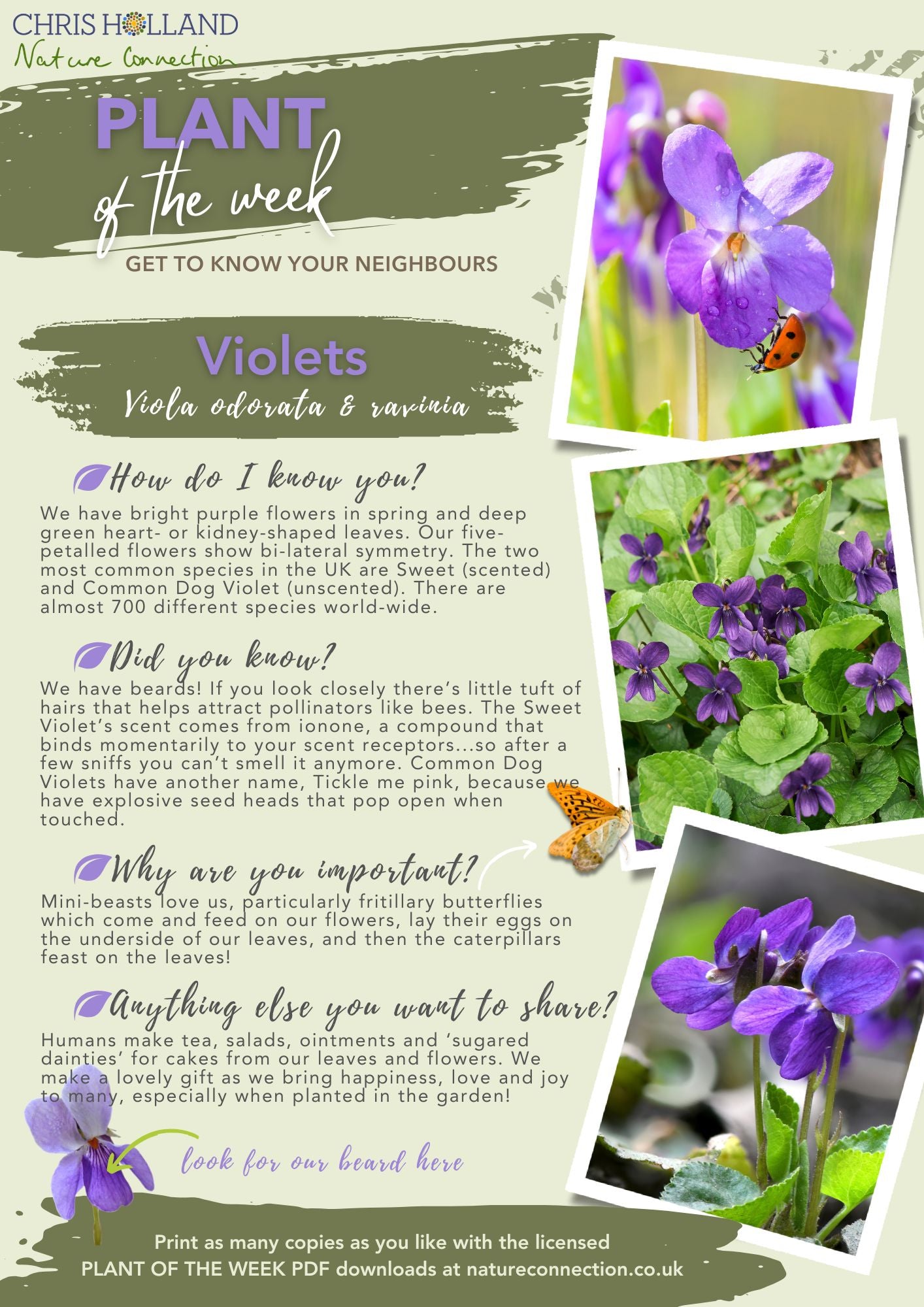 The PLANT OF THE WEEK collection - A4 wire-bound book