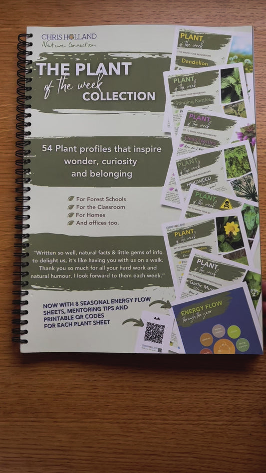 The PLANT OF THE WEEK collection - A4 wire-bound book