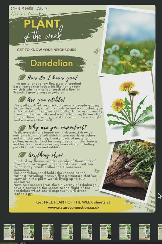 The PLANT OF THE WEEK sheets (LICENCE TO PRINT the PDF downloads